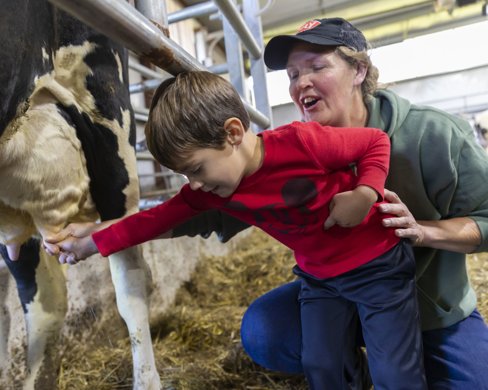 Life on the farm